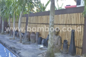 bamboo-02