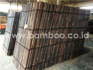 bamboo 03